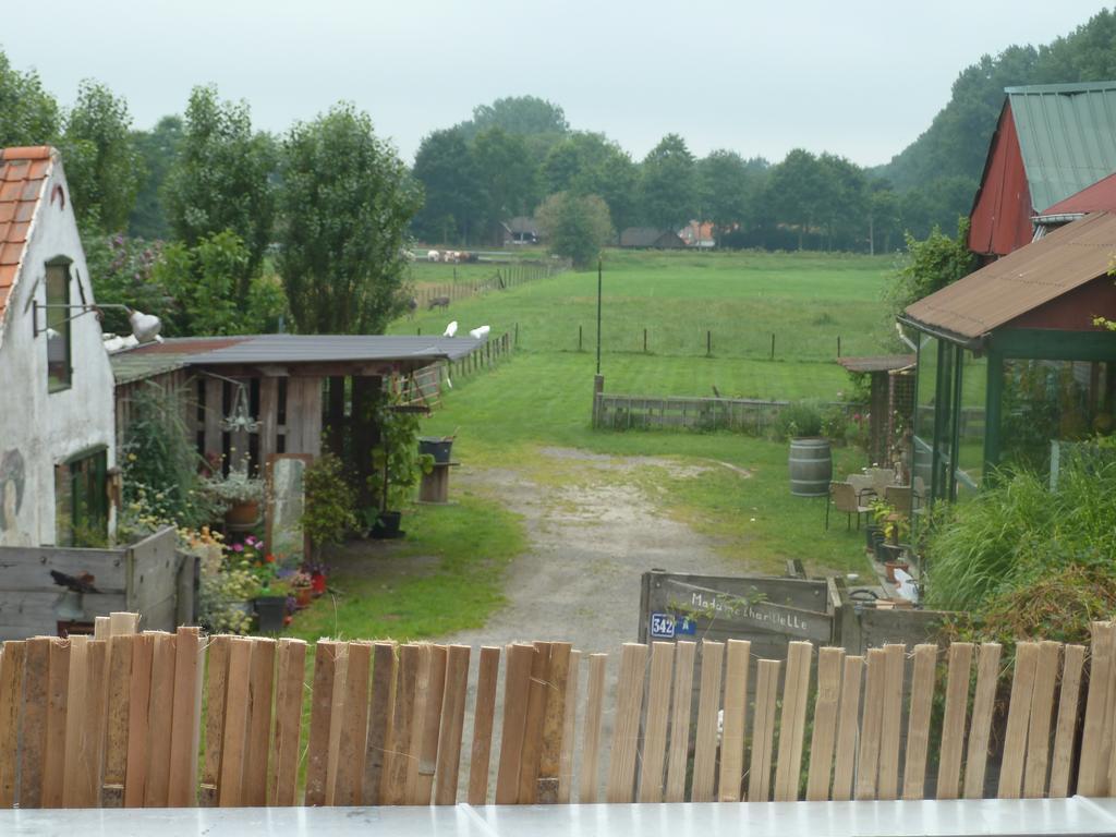 With Than A View * Maldegem